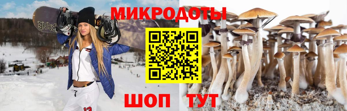 Псилоцибиновые грибы прущие грибы  Вход с VPN  Волжский 